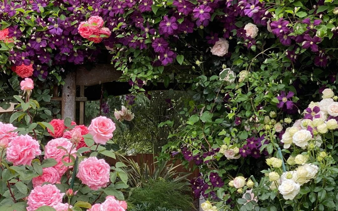 AND THEN SHE ROSE TO THE OCCASION