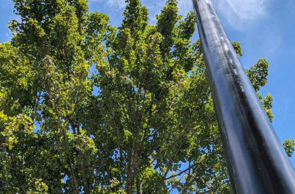 Lighting the Way: New Streetlights Installed on Washington for Pedestrian Safety