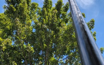 Lighting the Way: New Streetlights Installed on Washington for Pedestrian Safety