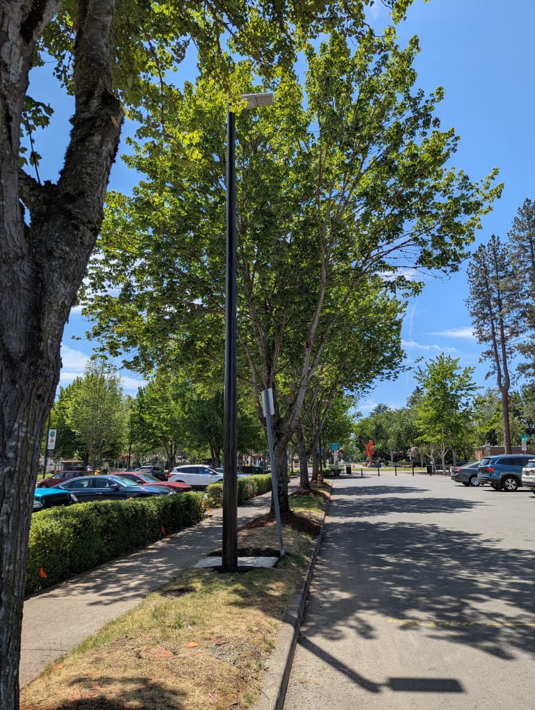 beaverton downtowns association light post 02