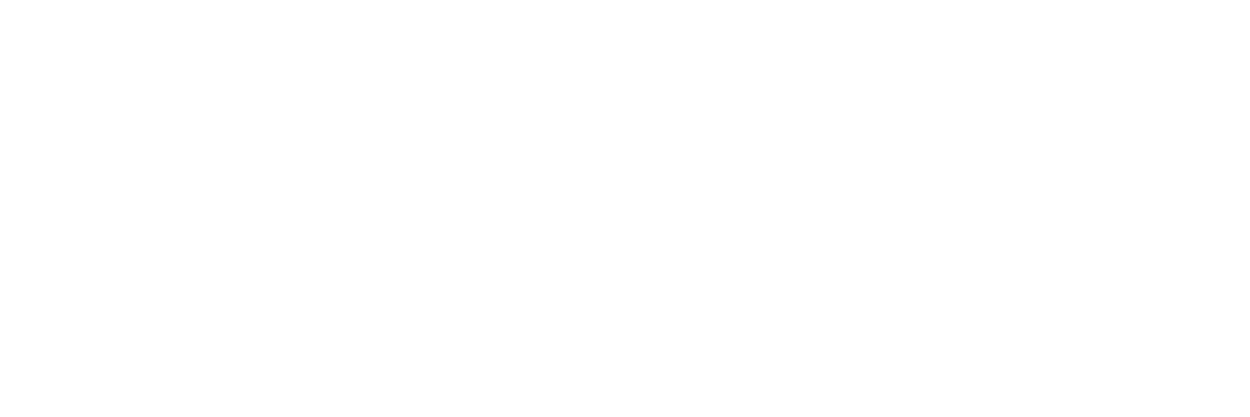 lioneheart logo white